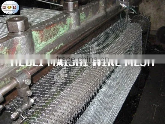 2-1/2" hot dipped galvanized hexagonal wire netting 2-1/2 inch 40mm*40mm