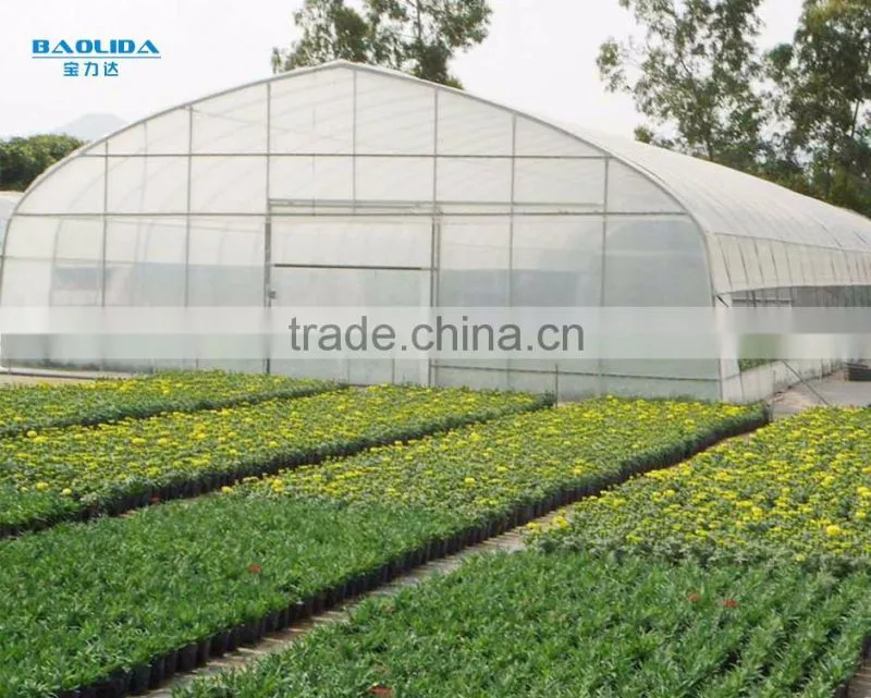 single-span agriculture greenhouse baolida tunnel green house