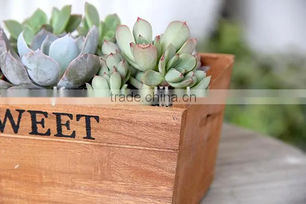 Creative succulent plant rectangle garden woood planter