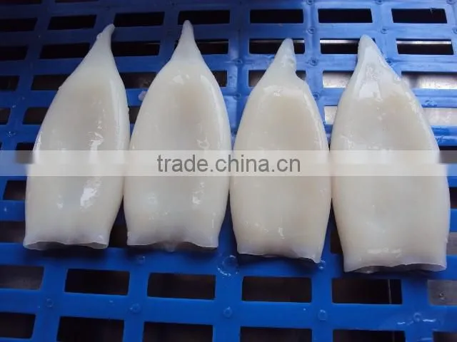 frozen todarodes pacificus squid tube