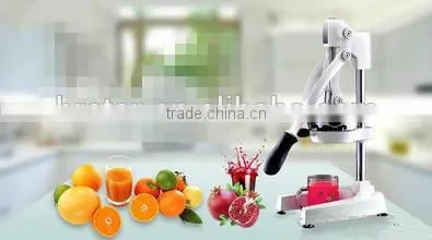 Stainless Steel Fruit Juicer, Juice Extractor,Pomegranate Juicer