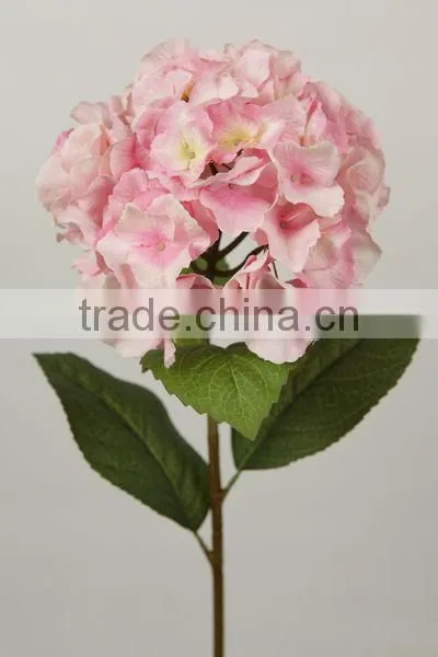 stable supplying high quality variegate color corn husks flowers