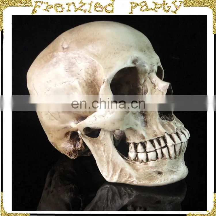 wholesale simulation decorative party skull FGHS-0006