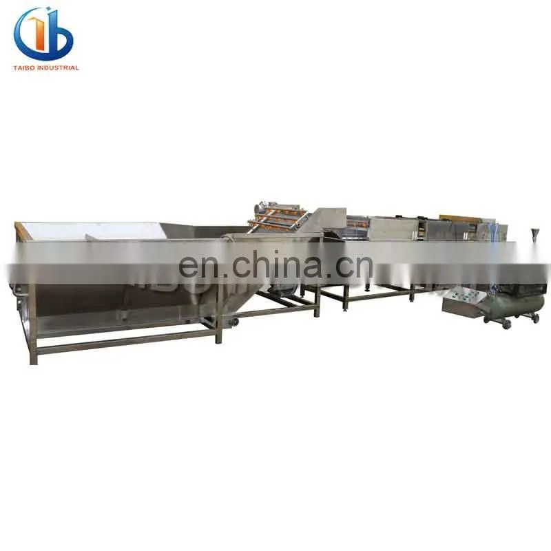 industrial fruit and vegetable washing equipment,pear/peach/strawberry/date/grape/blackberry/lemon bubble washing machine