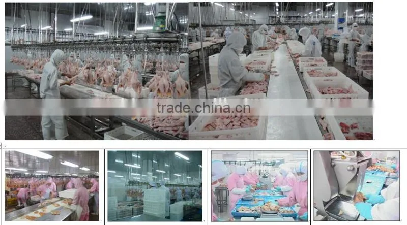 portable automatic chicken slaughter houses for slaughtering