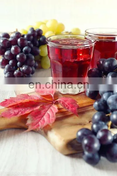 fruit juice sea buckthorn juice juice production line