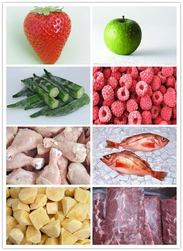Ammonia 500kg/H Plate Frozen Tunne Belt Fluidized Icecrem Smallest Cooling Tunnel Iqf Shrimp Spiral Freezer blast frozen