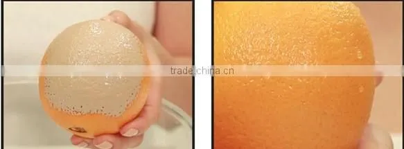 facial cleansing brush manufacturers G-236B