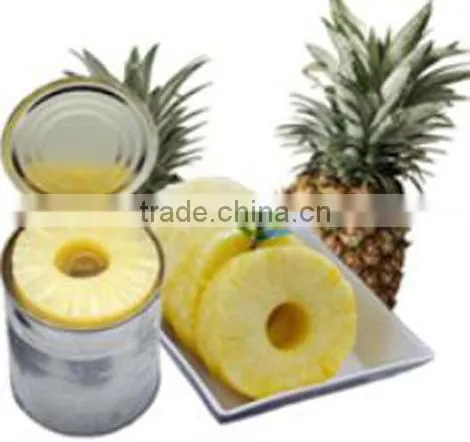 CANNED SLICED PINEAPPLE 20OZ