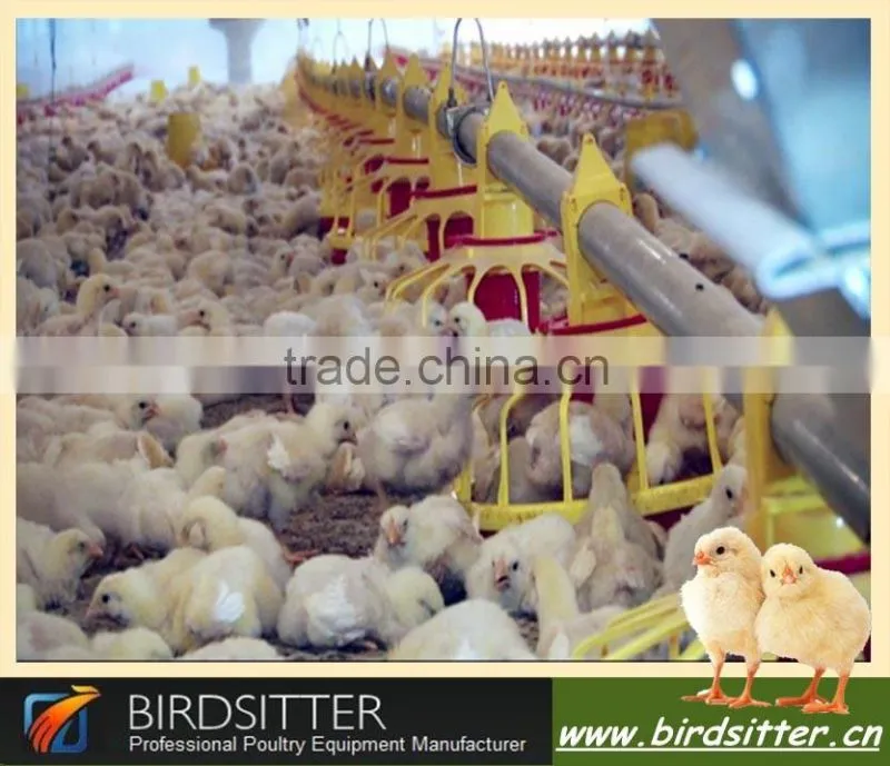 Ready Sale automatic chicken farm machinery for broiler and poutlry farm equiment