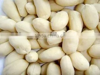 New Crop Blanched Peanut Kernel