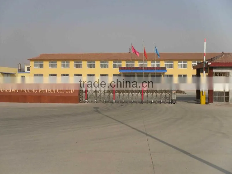 Factory supply soft fruit ice cream powder used as ice cream ingredients