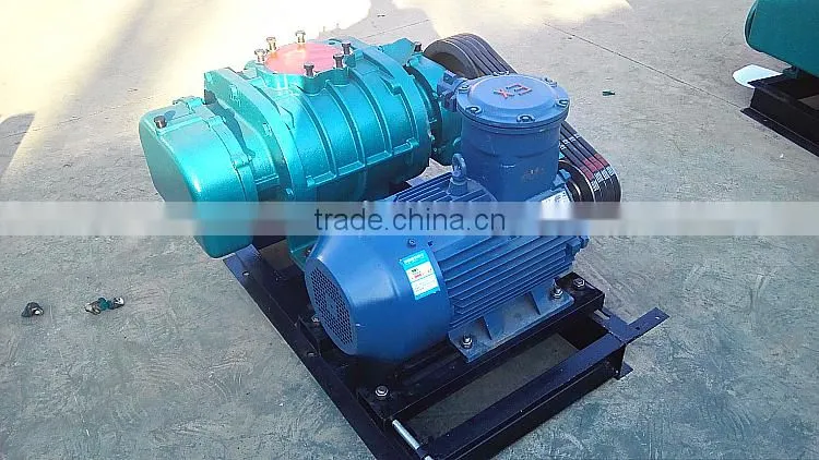 LRB low pressure roots blower