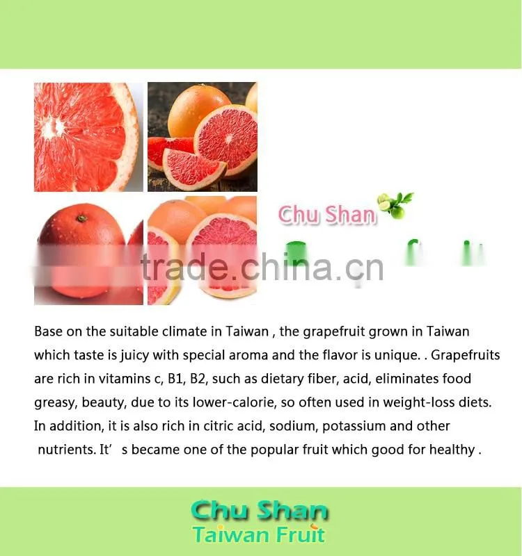Fresh grapefruit best price