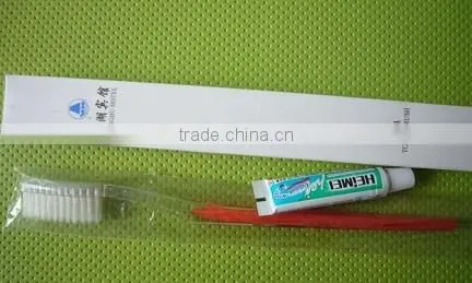 Disposable hotel travel set toothbrsh dental kit