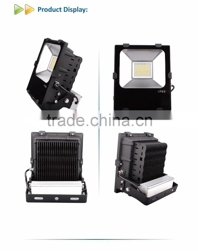 hot sale IP65 Outdoor Waterproof SAA CE RoHs LED Flood Light 50W