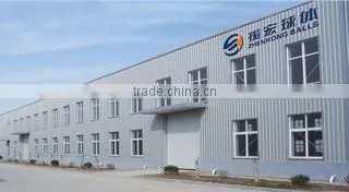 Wenzhou Zhenhong Valve Ball Co., Ltd. company overview - view 1