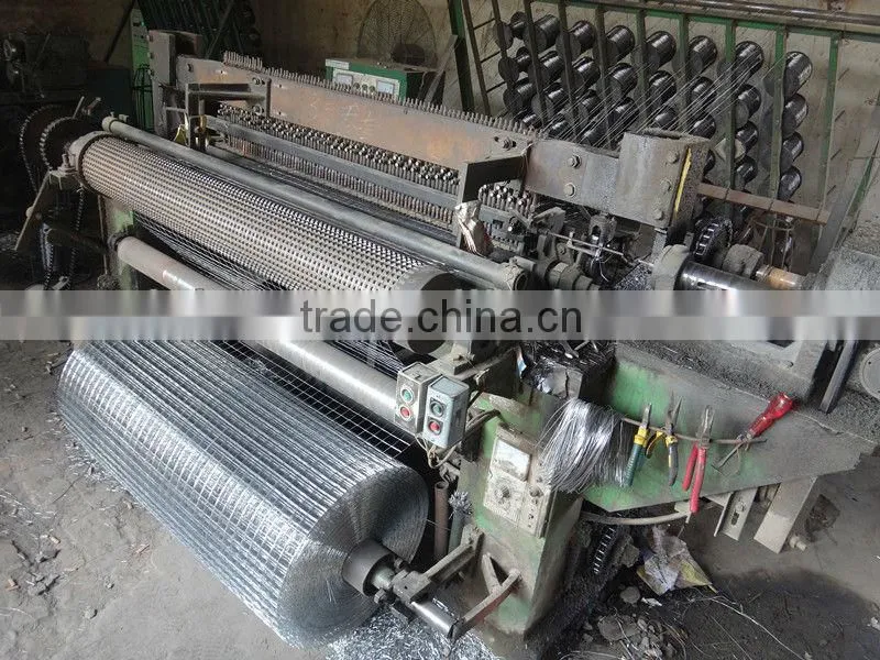 heavy gauge 1/4 inch galvanized welded wire mesh