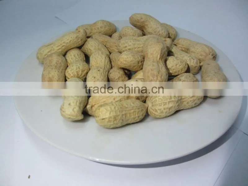 Delicious roasted peanuts in shell for sale