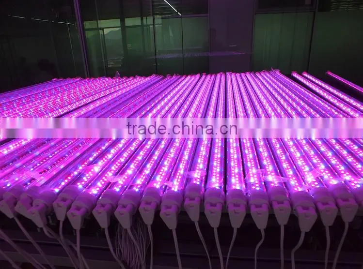 0.5w 450nm 2835 Blue smd led diode for grow light