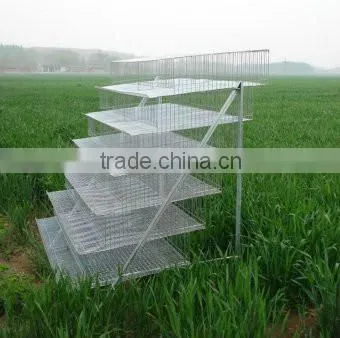 zhenhua chicken breeding cage/Chicken layer cages/ Laying chicken cages