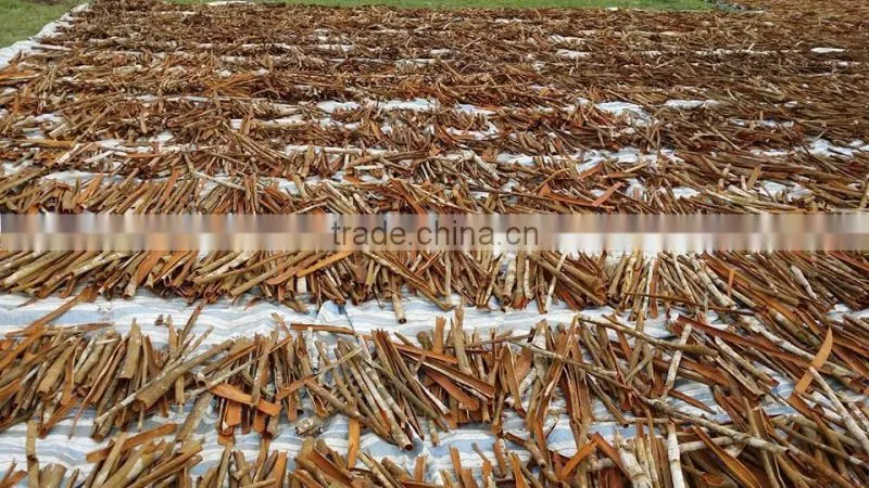 VIETNAM CASSIA / CINNAMON