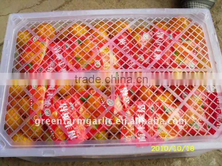 chinese sweet Mandarin orange in 2012