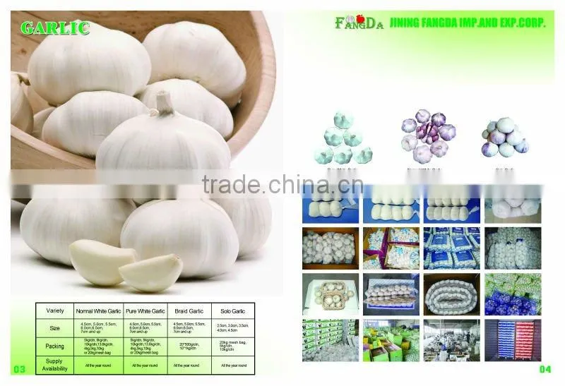 normal/pure white garlic in bulk