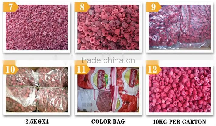 Frozen Raspberry best selling frozen fruits