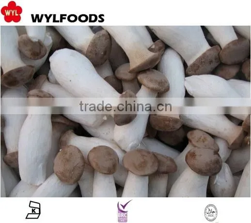 mushroom frozen IQF pleurotus eryngii 2015 high quality
