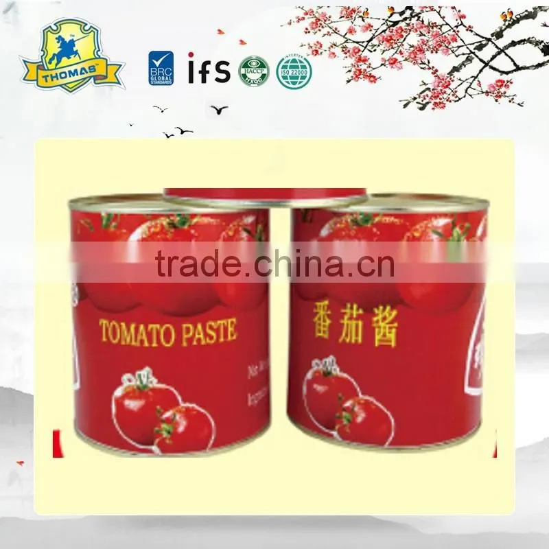 China Canned Tomato Paste