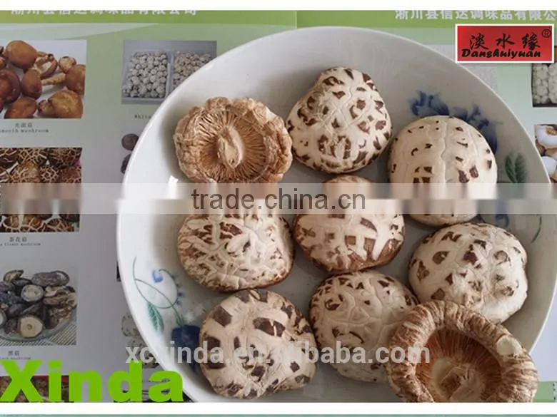 The Best Dried Flower Mushroom