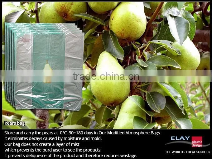 Asparagus protection bag