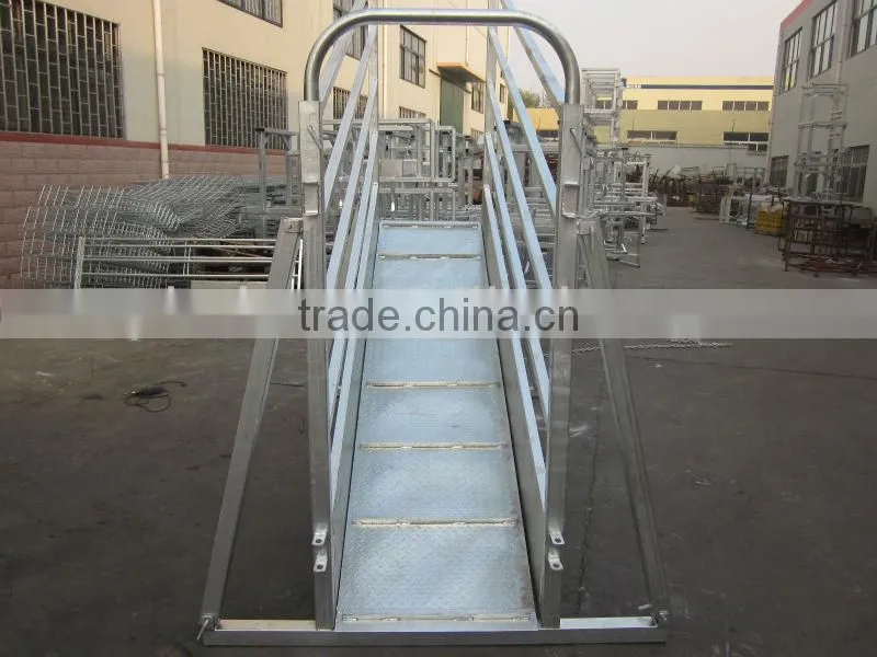 Galvanized handling Cattle loading ramp