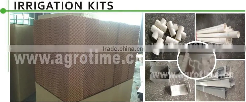 China Glass Greenhouse with cooling system