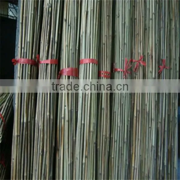 Bamboo stake for support flower ,oloive trees ,tomatoes ,pepper