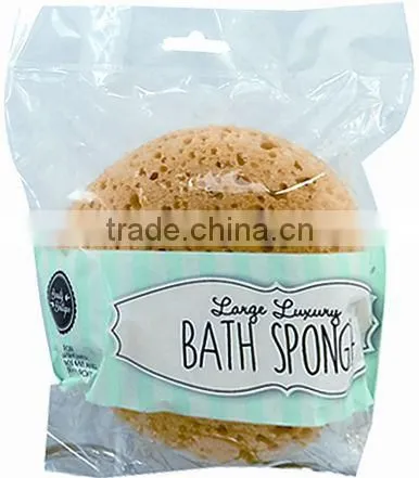 foam sponge