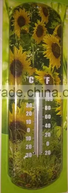 Indoor/outdoor/ GARDEN Paint Metal THERMOMETER