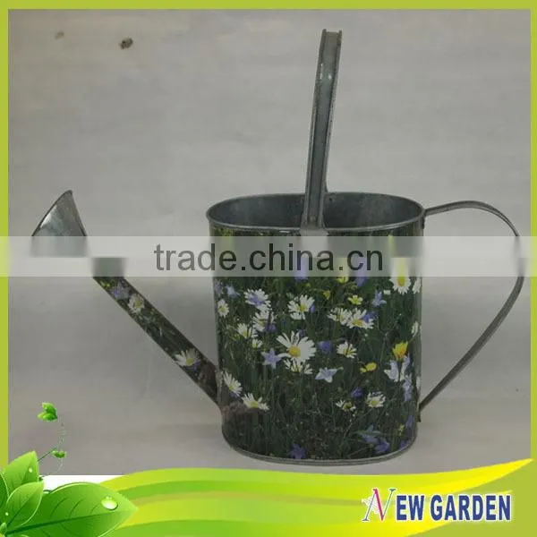 Round Handicraft Delicate Cheap Watering Can Shape Small Flower Pots