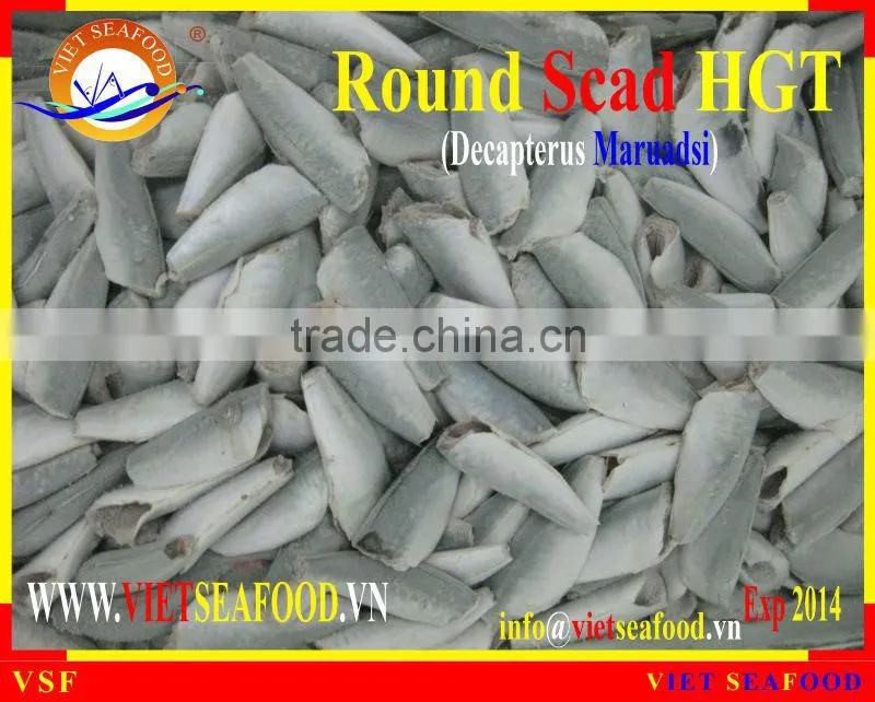 FROZEN HGT ROUND SCAD