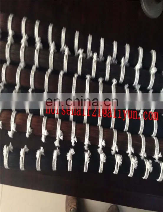 horse tail equestrian
