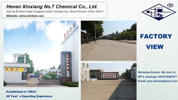 Henan Xinxiang No.7 Chemical Co., Ltd. company overview - view 1