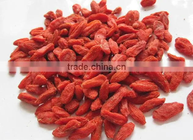 Ningxia Goji Berry,Wolfberry