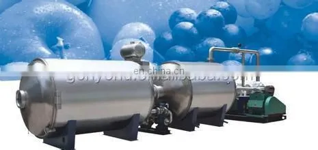 higher fruit and vegetable freeze dryer equipment