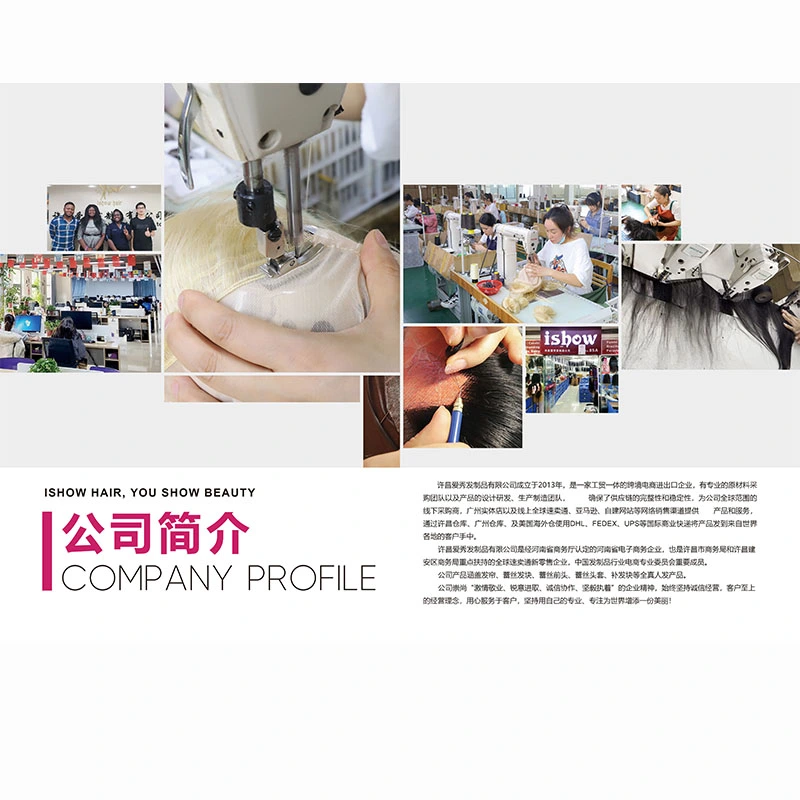 Xuchang Aixiu Hair Products Co., Ltd company overview - view 1