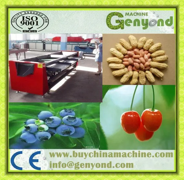 Orange/lemon Fruit Washing Waxing Drying Sorting Machinery/production Line