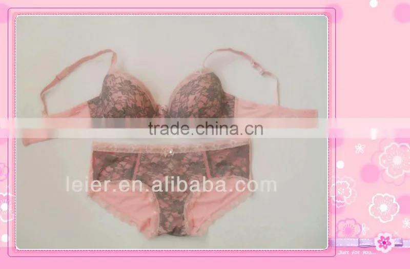 Lace/Micro Plus Size Bra&Underwear Set Real Underwear