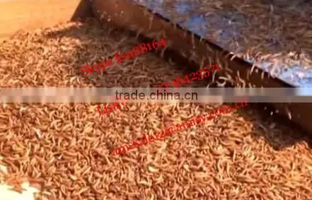Multifunction yellow mealworm segregator