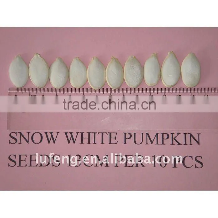 New Crop 2012 Chinese Green Pumpkin Seed kernel