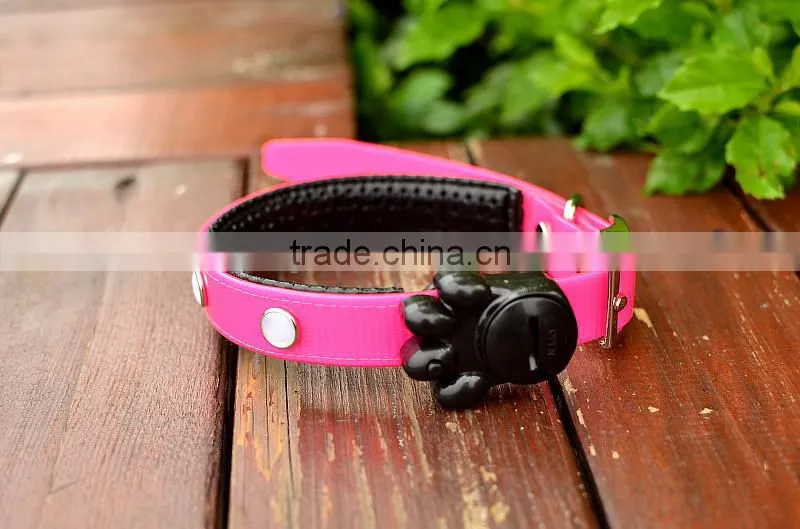 luminous dog collars, 5050 LED Strip LED Collars, 2.5cm width,locking dog collar